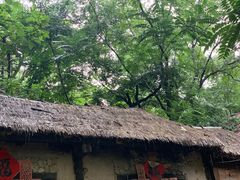 -井塘古村