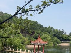 -北岭山森林公园