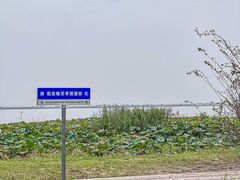 -七的湖·晚芳亭·阳澄湖农家菜·大闸蟹(莲花岛店)