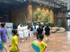 -杭州开元森泊度假乐园