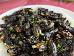 -南沙十九涌渔人码头-南门