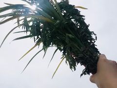 -宝岛甲壳虫KTV(蓝天路店)