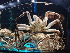 -金翠皇宫粤菜·点心·海鲜(科技园店)