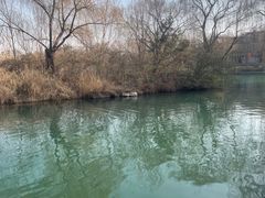 -济南大明湖景区