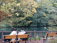 -井之头恩赐公园