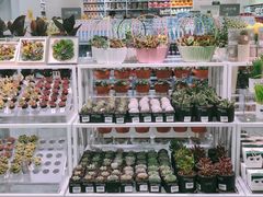 -KKV(天津津南吾悦广场店)