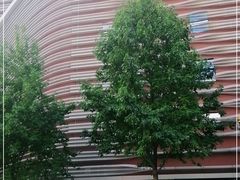 -上海市徐汇区口腔医院