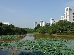 校园-华南师范大学(广州大学城校区)