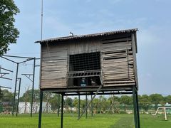 -苏州太湖西山岛开心农场