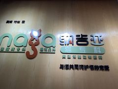 -纳吉亚猫专科动物医院博雅分院