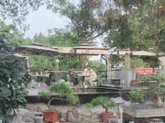 -蘇河湾·新鲁菜·泰山宴(泰山店)