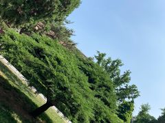 -泰山风景名胜区