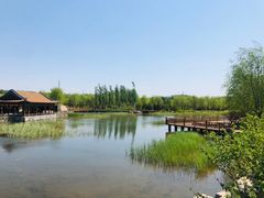 -张家湾公园