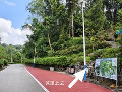 -火炉山森林公园