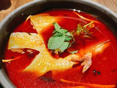 酸汤鱼-毛辣果·酸