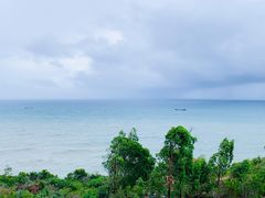 -广东惠东海龟国家级自然保护区
