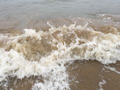 -日照海滨国家森林公园
