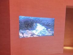 -舒小悦·舒养SPA·古法推拿(光环中心店)