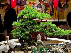 -玉满堂·湖北融合菜
