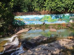 -广州白江湖森林公园