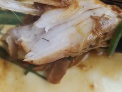 -东北铁锅炖鱼·大鹅·小鸡·排骨(五塔寺广场店)