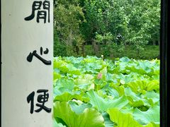 -高子水居