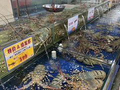 水产区-东江海鲜酒家(艺都分店)
