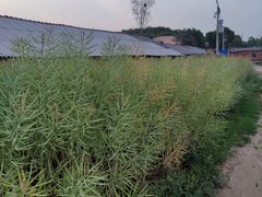 -曾侯乙墓遗址博物馆