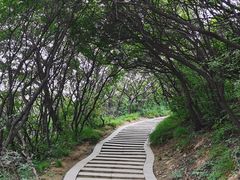 -神农山景区