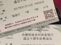 -合肥大剧院