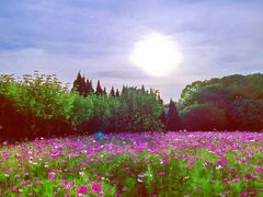-华东政法大学(松江校区)