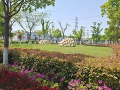 -菊园百果园