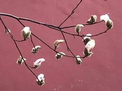 -东华门大街小区