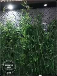 -木北造型