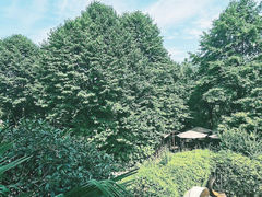 -普陀山雷迪森庄园