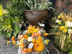 -云里小坐·小院里·团建·宴请·下午茶(三圣乡店)