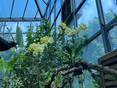 -东莞植物园