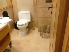 -长沙小天鹅戴斯酒店