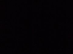 -东京包子楼(政七街店)