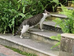 -南宁南湖公园