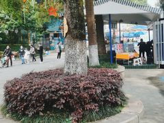 -南湖梦幻岛