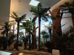 -可可托海景区