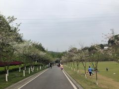 -重庆园博园