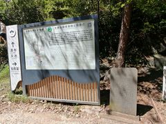 -大奇山国家森林公园