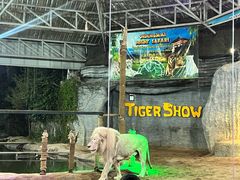 -清迈夜间动物园