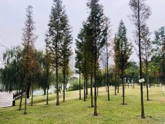 -眉山湿地公园(东坡区)