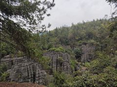 -梭布垭石林景区