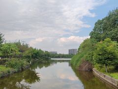 -成都南湖公园