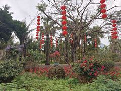 -中澳友谊花园