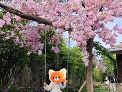 -HERRE·FARM 赫尔露营农场·团建聚会包场